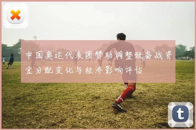 中国奥运代表团赞助调整致备战资金分配变化与经济影响评估
