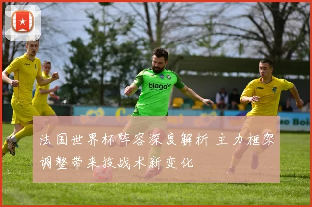 法国世界杯阵容深度解析 主力框架调整带来技战术新变化