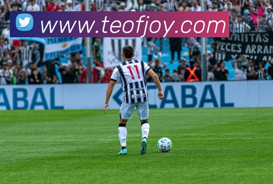 未来规划